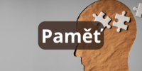 Paměť